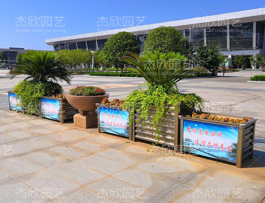 高鐵廣場(chǎng)綠化南昌案例 高鐵廣場(chǎng)綠化南昌案例